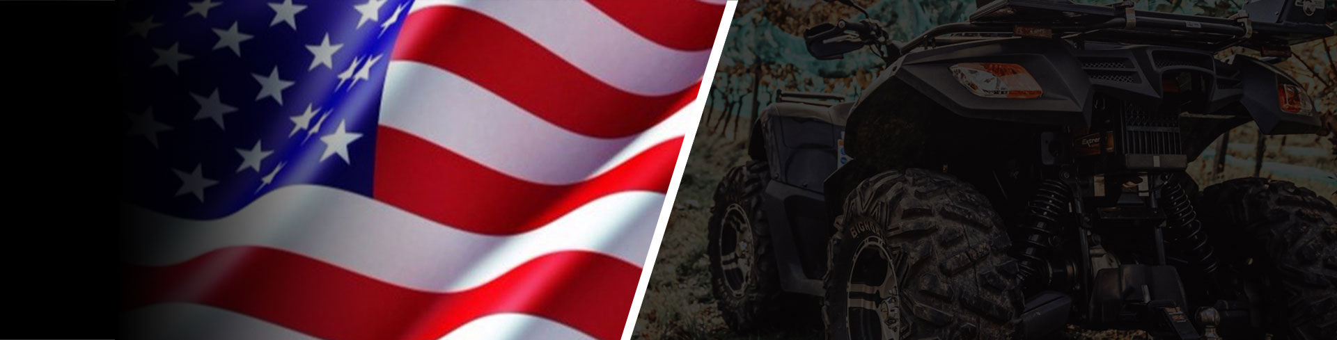 Global Electric Quad Bike Distributors