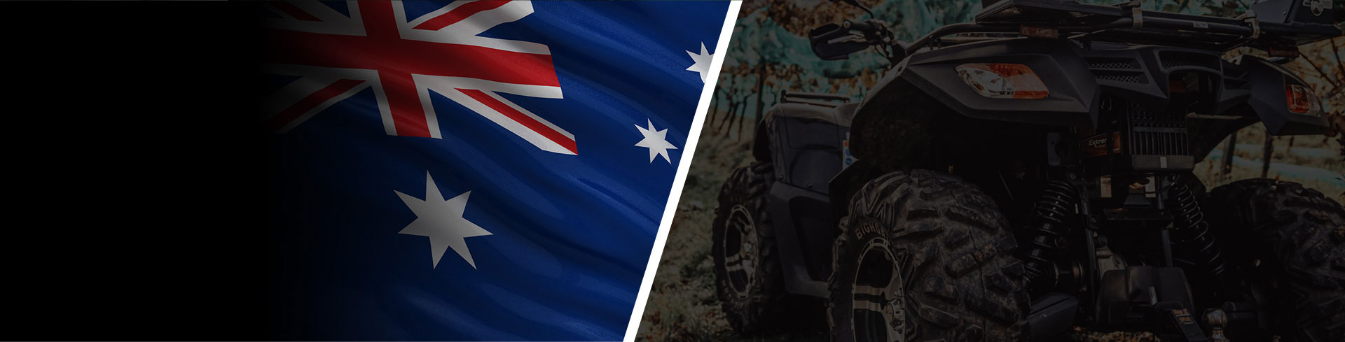 Global Electric Quad Bike Distributors