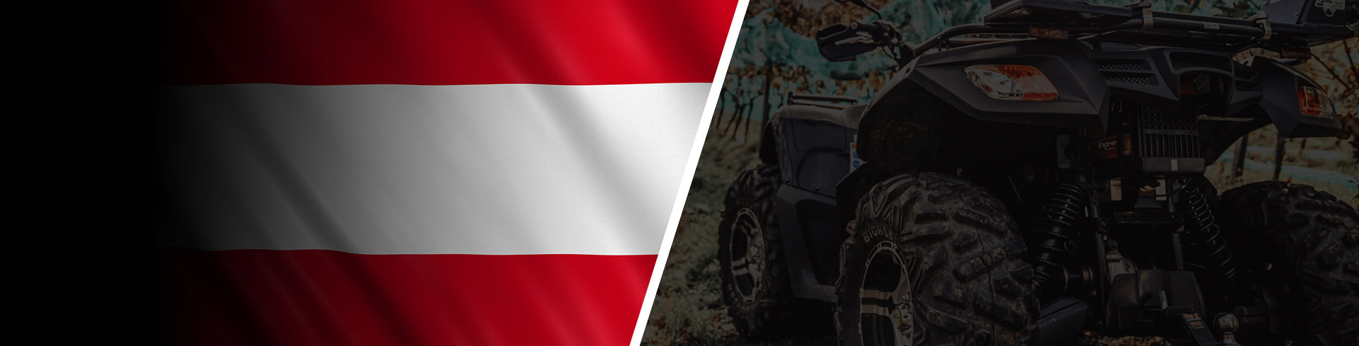 Global Electric Quad Bike Distributors