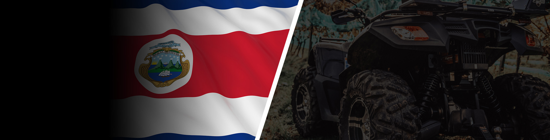 Global Electric Quad Bike Distributors