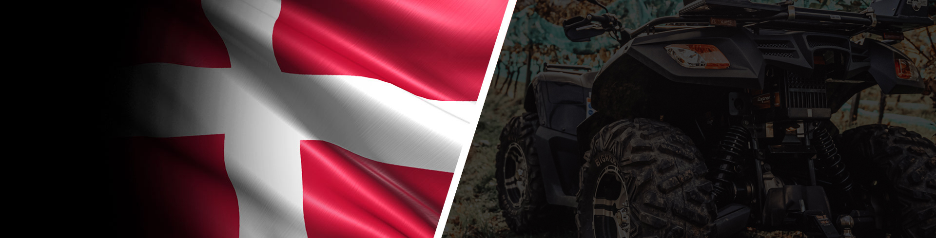 Global Electric Quad Bike Distributors