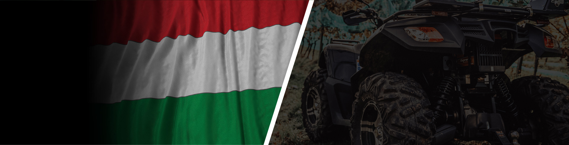 Global Electric Quad Bike Distributors