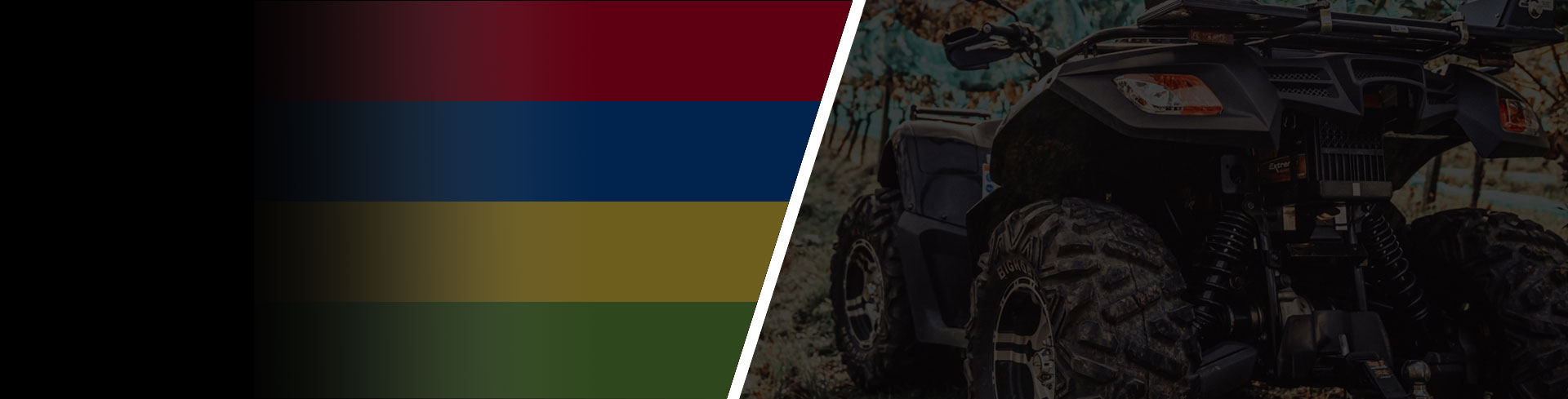 Global Electric Quad Bike Distributors