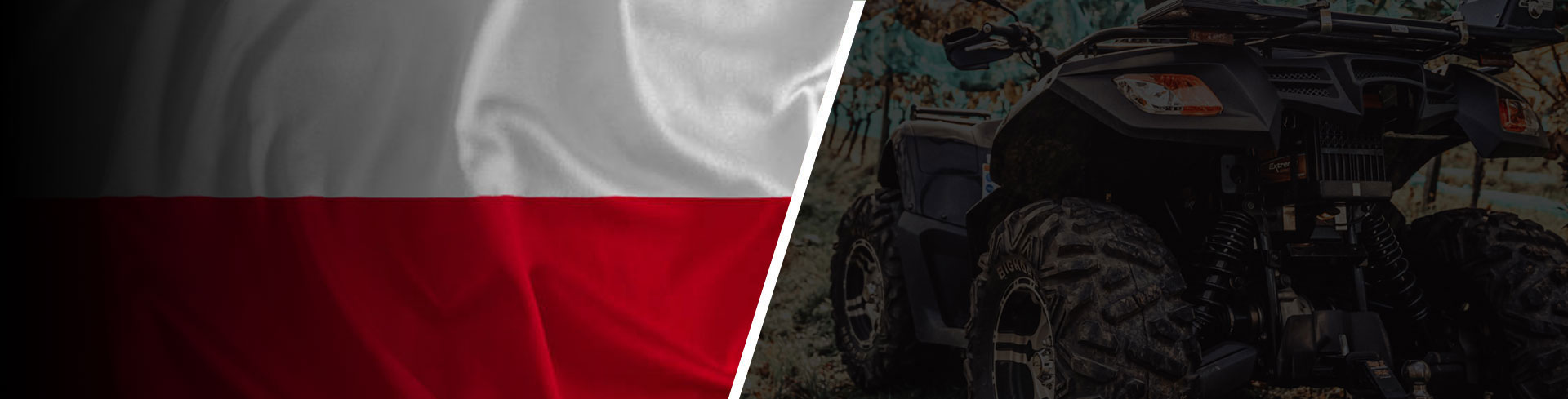 Global Electric Quad Bike Distributors