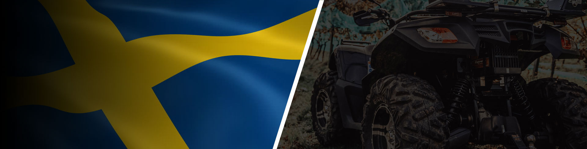 Global Electric Quad Bike Distributors