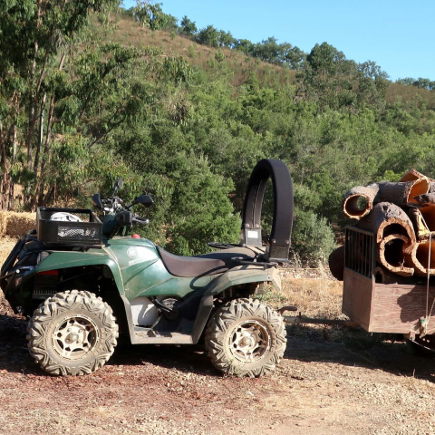 A picture of a quad bike