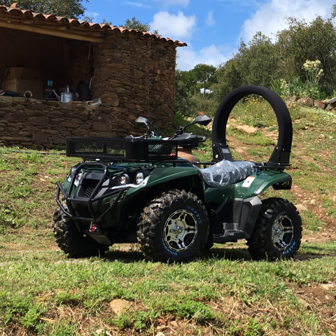 A picture of a quad bike