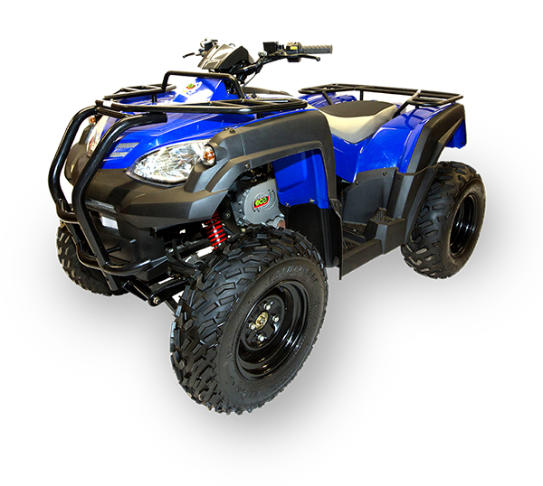 Pioneer Electric Quad Bike